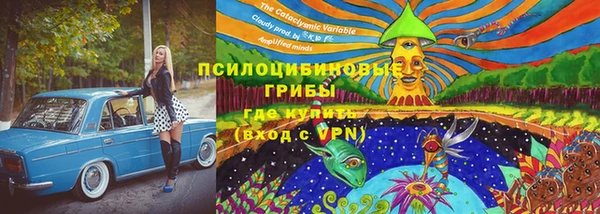 крисы Армянск