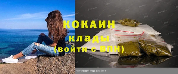крисы Армянск