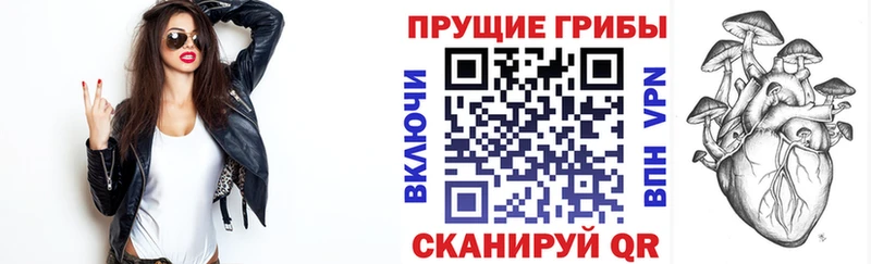 Купить закладки  Дюртюли  Галлюциногенные грибы мицелий 