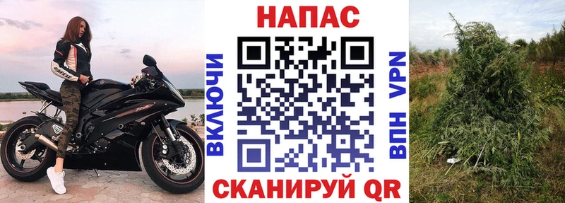 Каннабис OG Kush  Купить  Дюртюли 